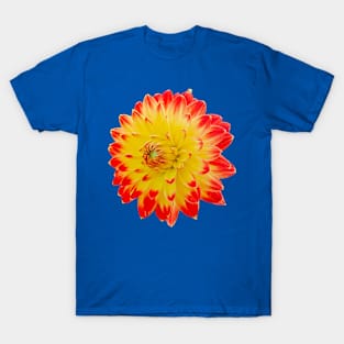 Red and Yellow dahlia T-Shirt
